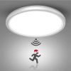 smart led ceiling light